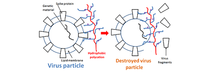 „Passive antifouling and active self-disinfecting antiviral surfaces" - artykuł w "Chemical Engineering Journal"